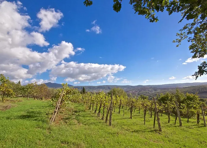 Agriturismo Corvaia